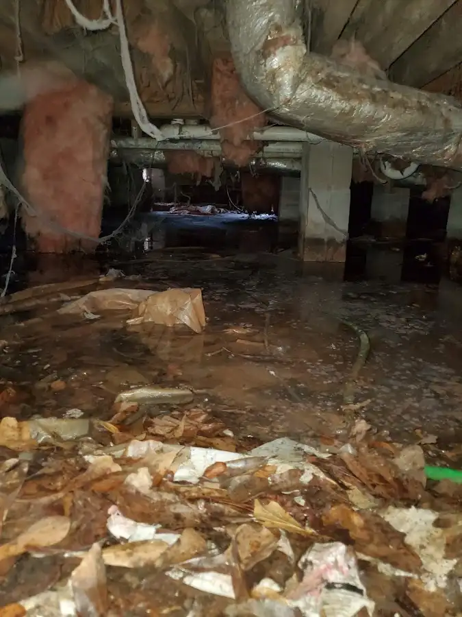 Crawl space flood assessment for Leak Detection & Repair in Wake Forest
